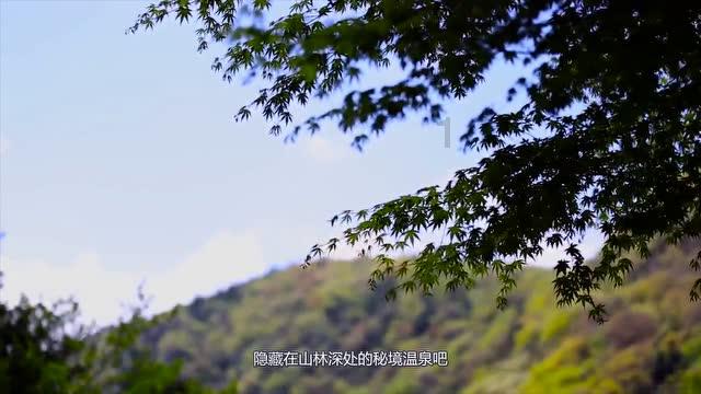广西大学校园内有哪些地标性建筑?知识大全-冷知识90242条,你知道吗-凤凰网